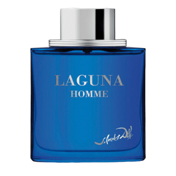 Laguna Homme