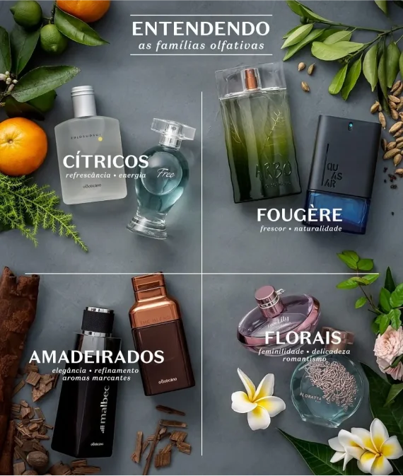 Os Perfumes Famílias Olfativas