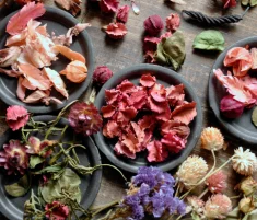 Melhor perfume feminino Boticário 30 OsPerfumes Florais