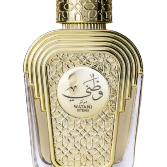 Perfumes Árabes Femininos 6 Al Wataniah Watani EDP 100ml para feminino