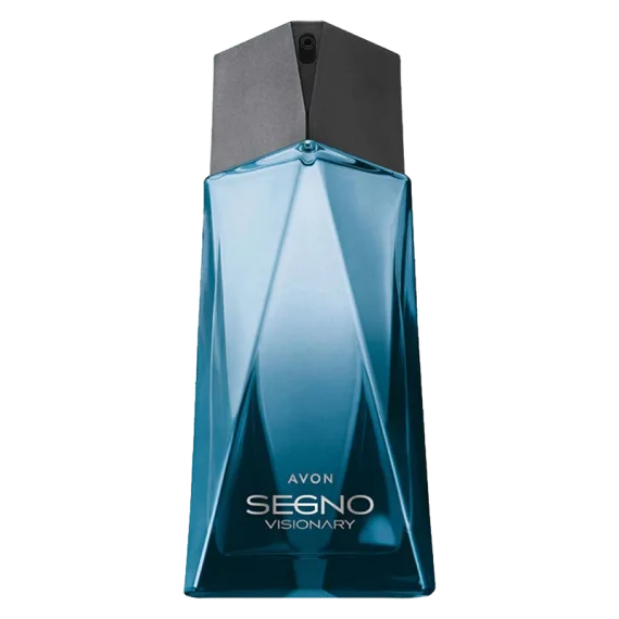 Melhores perfumes masculinos nacionais 20 Avon Segno Visionary